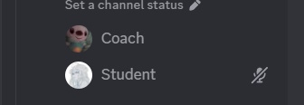 Professional Coaching